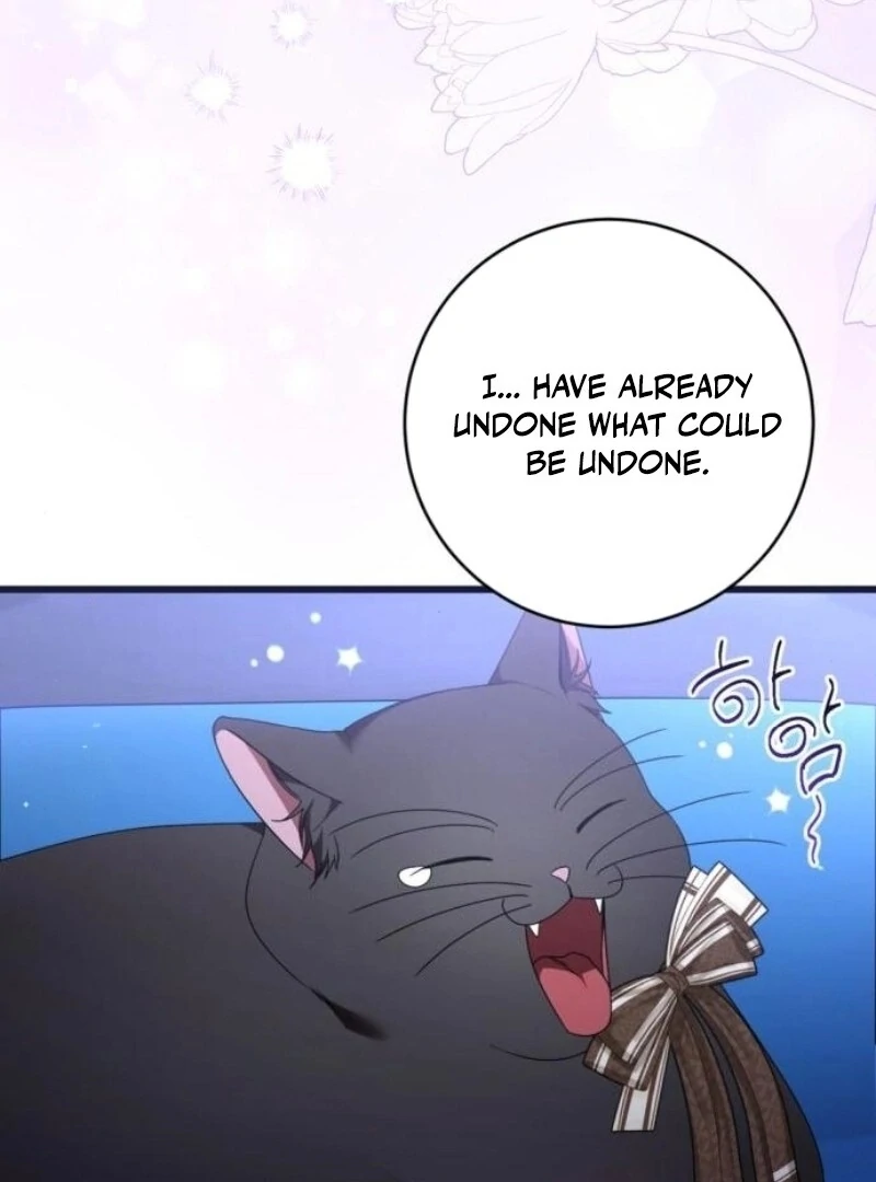 ch 28 100