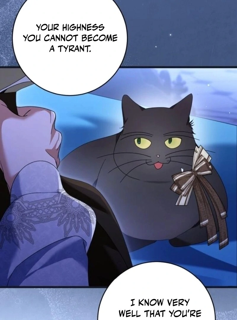 ch 28 91