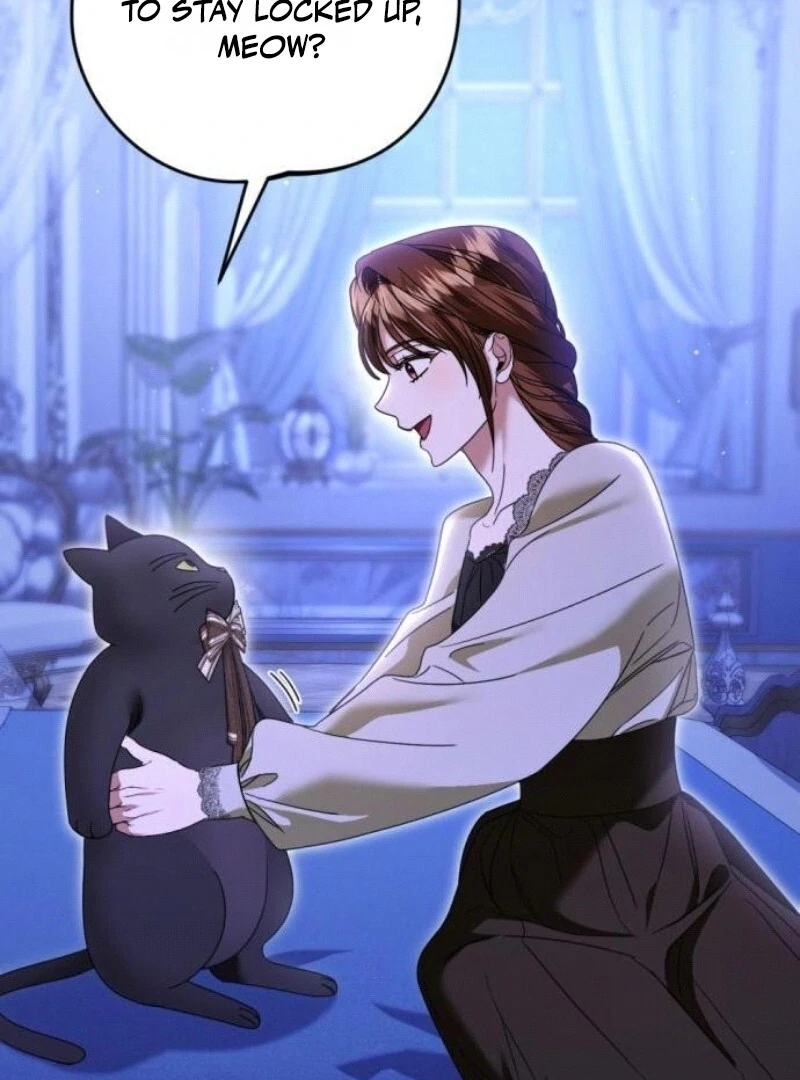 ch 29 106