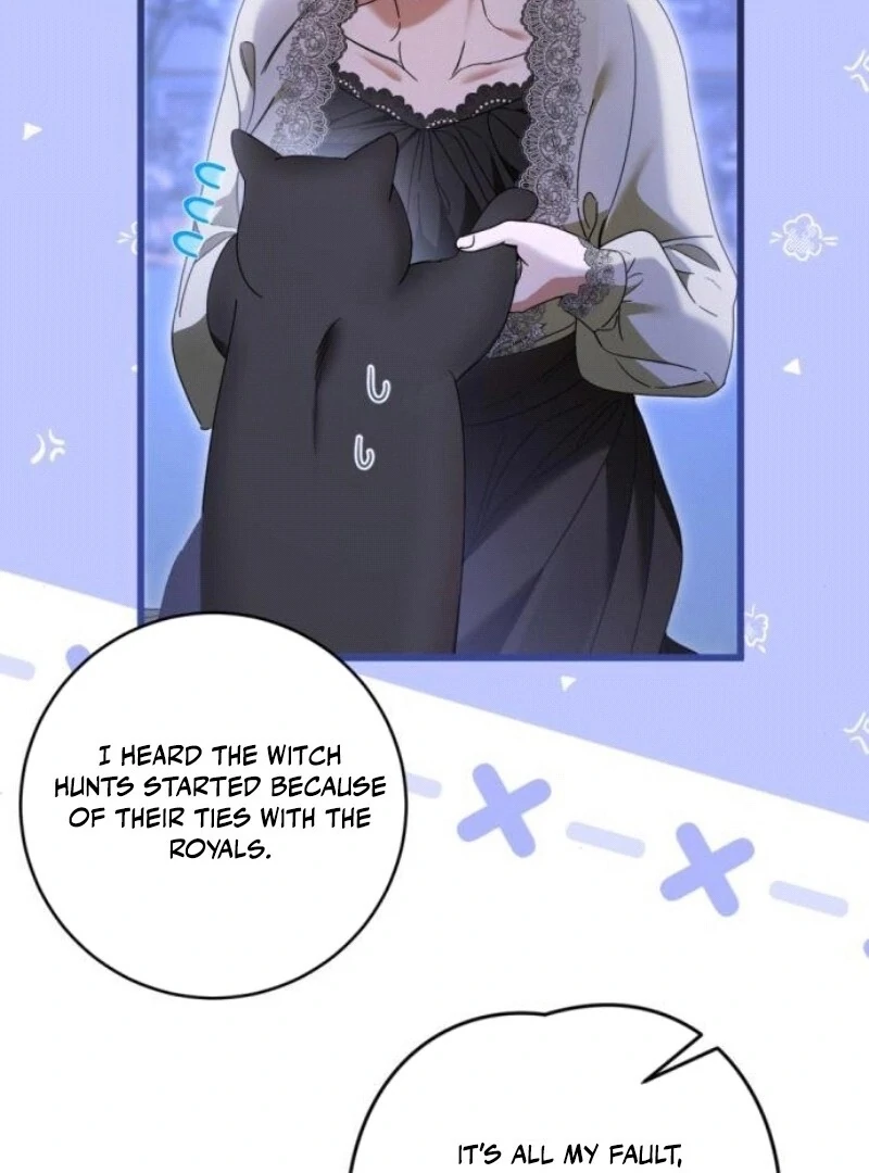 ch 29 17