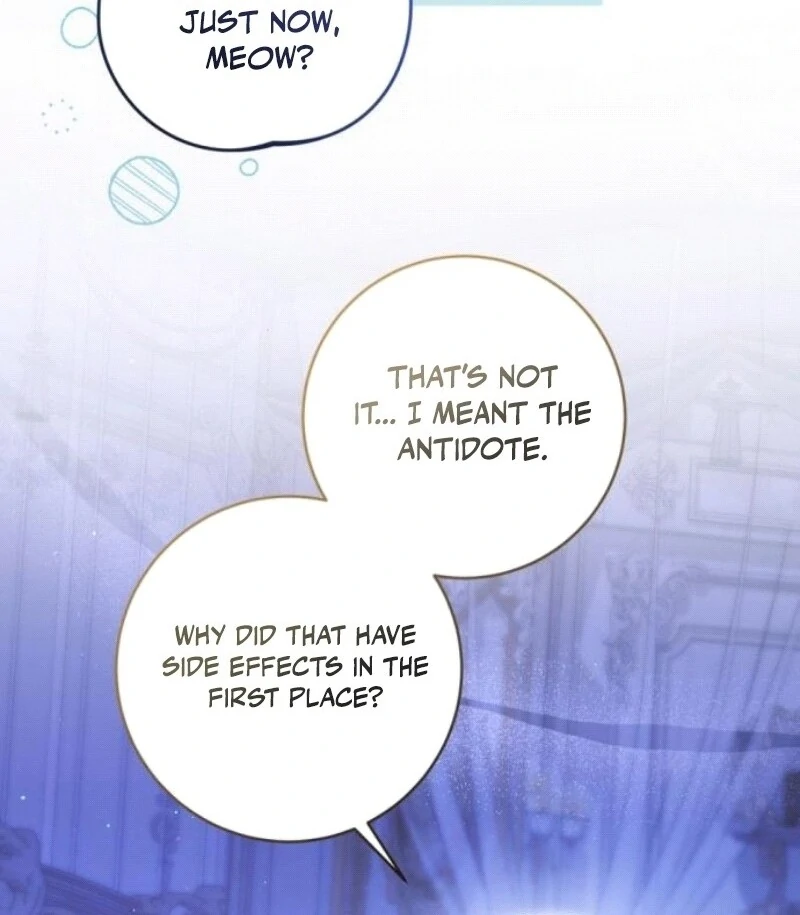 ch 29 28
