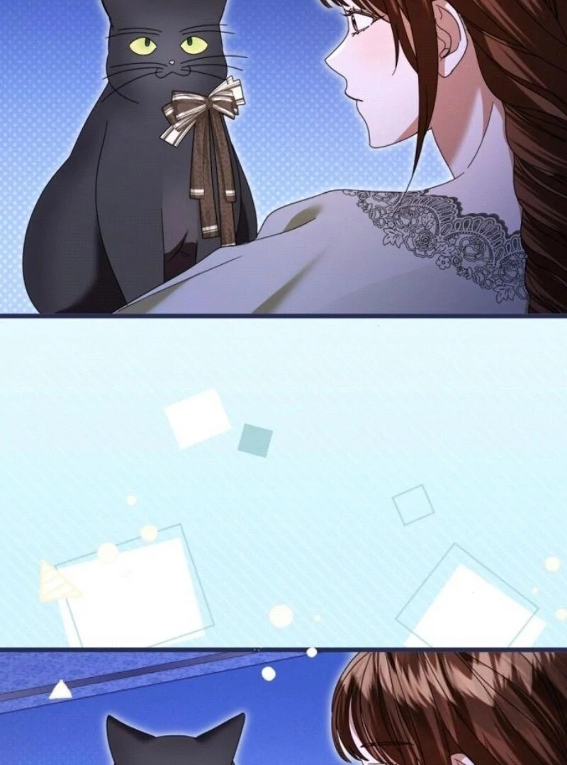 ch 29 36