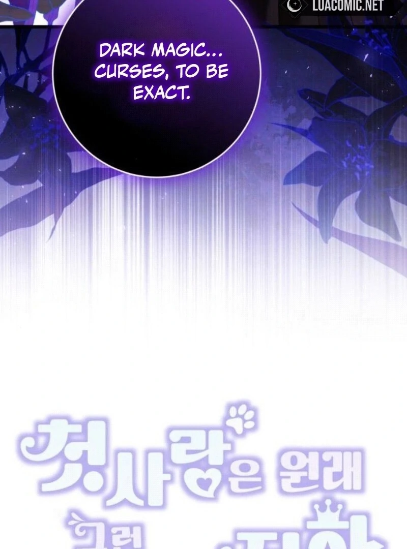 ch 29 52