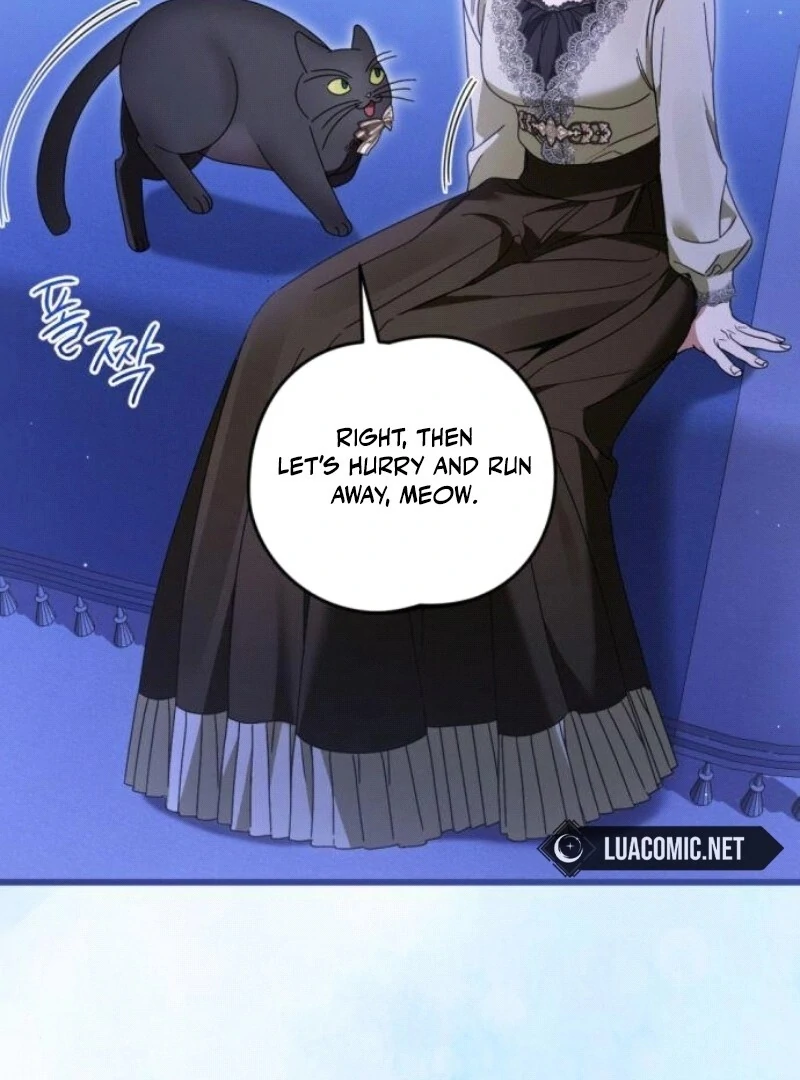 ch 29 9