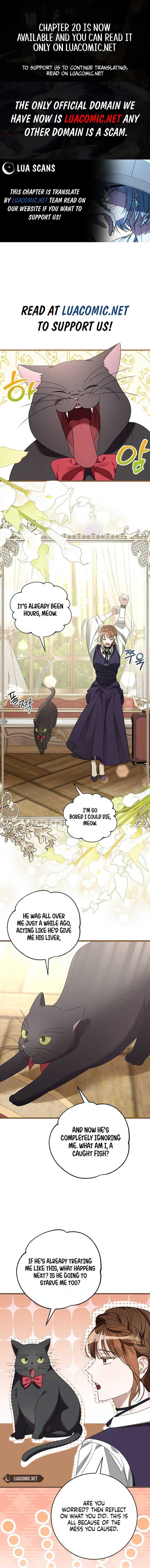 ch 3 1