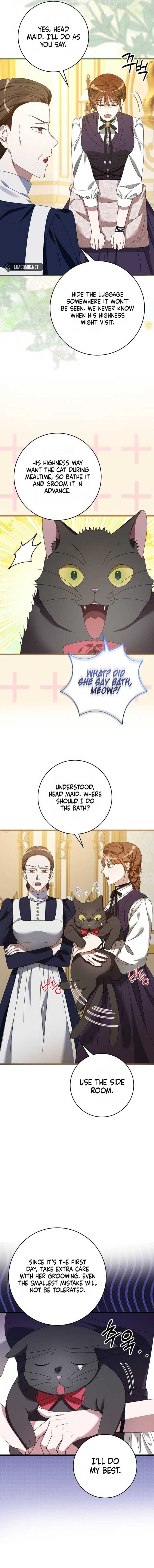 ch 3 16