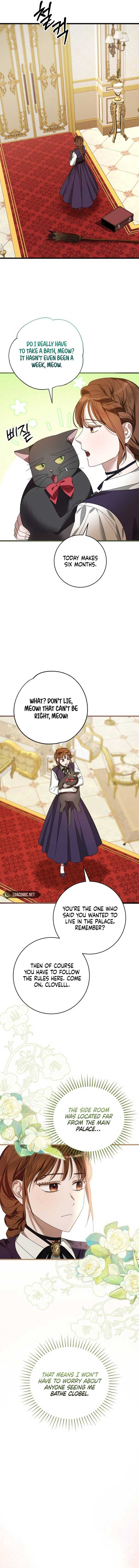 ch 3 17