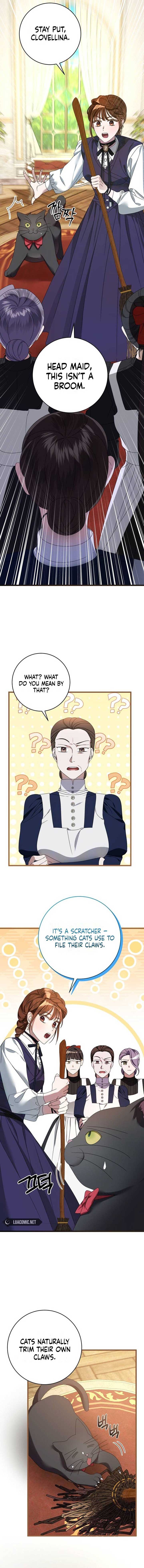 ch 3 6