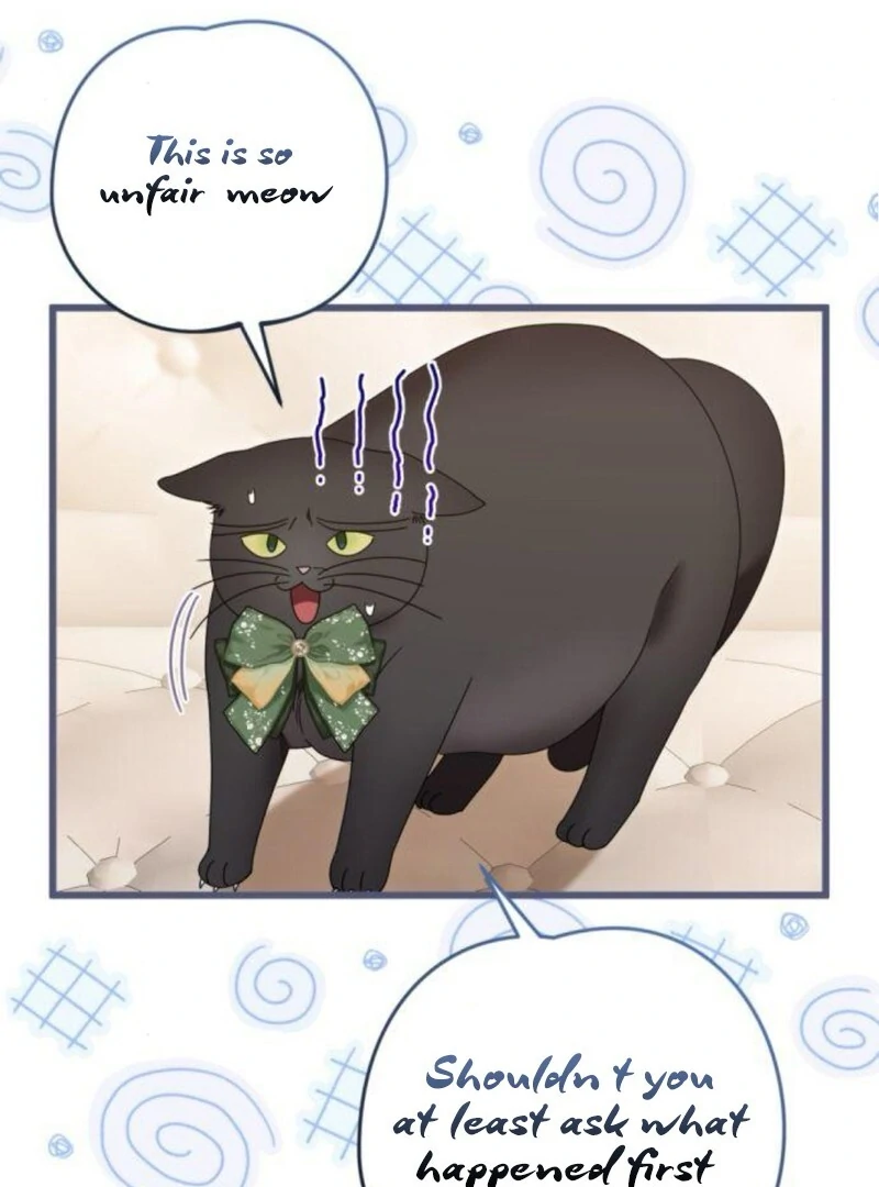 ch 31 113