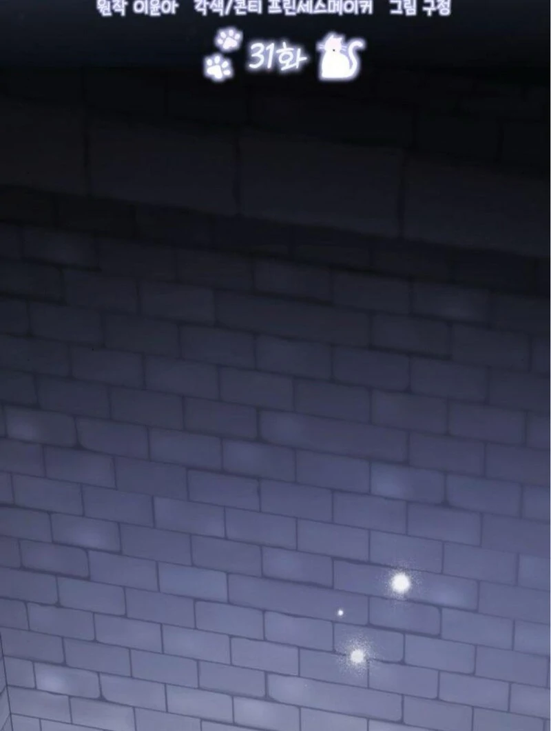 ch 31 33