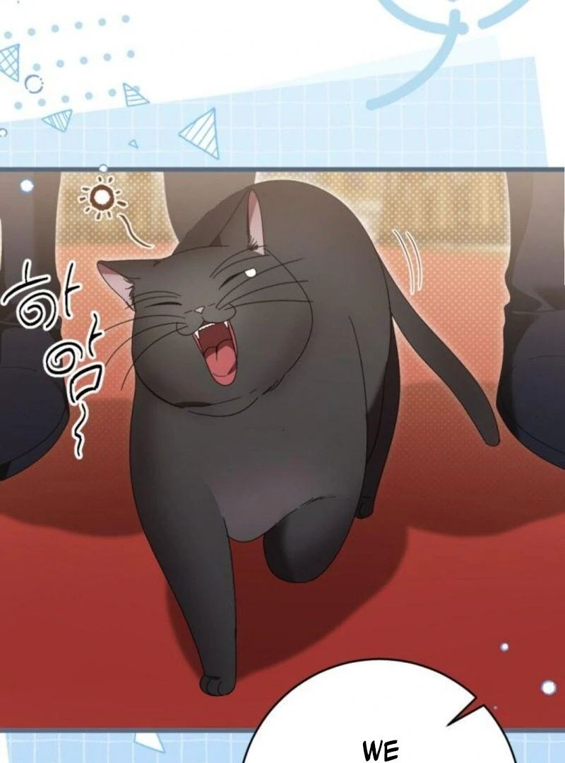 ch 31 71