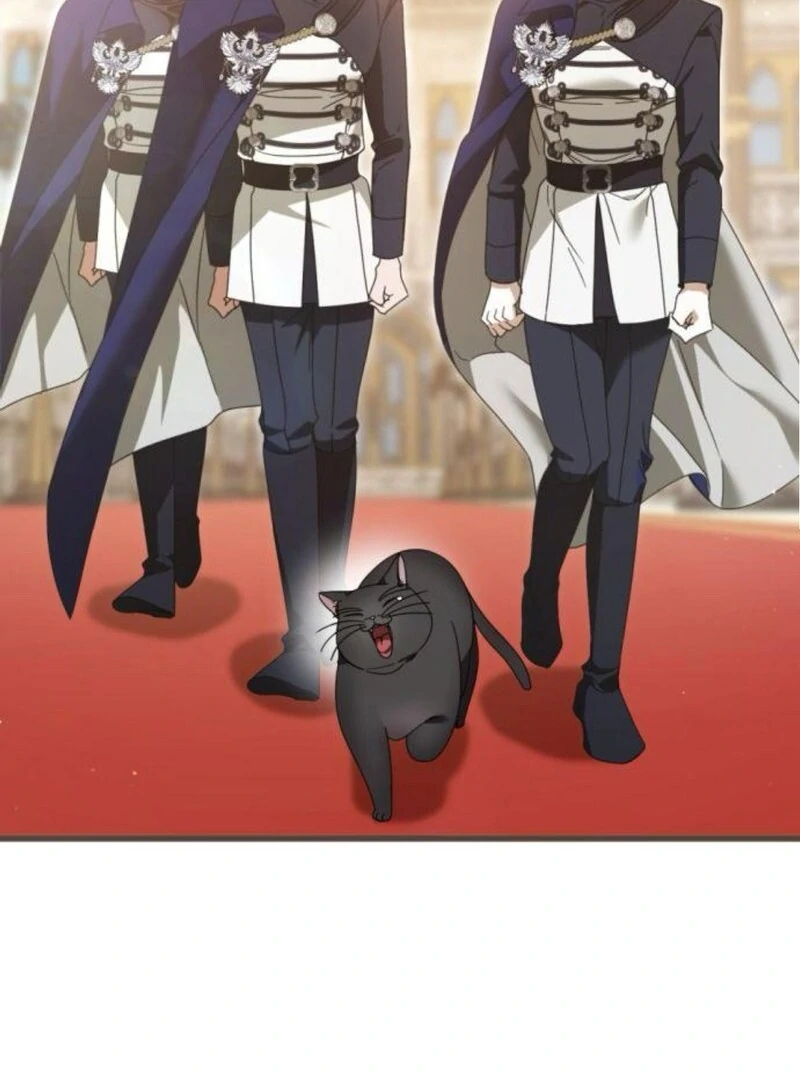 ch 31 73