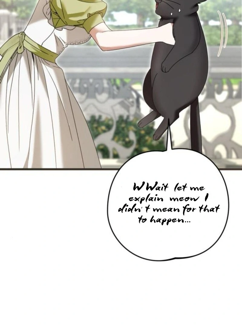 ch 31 95