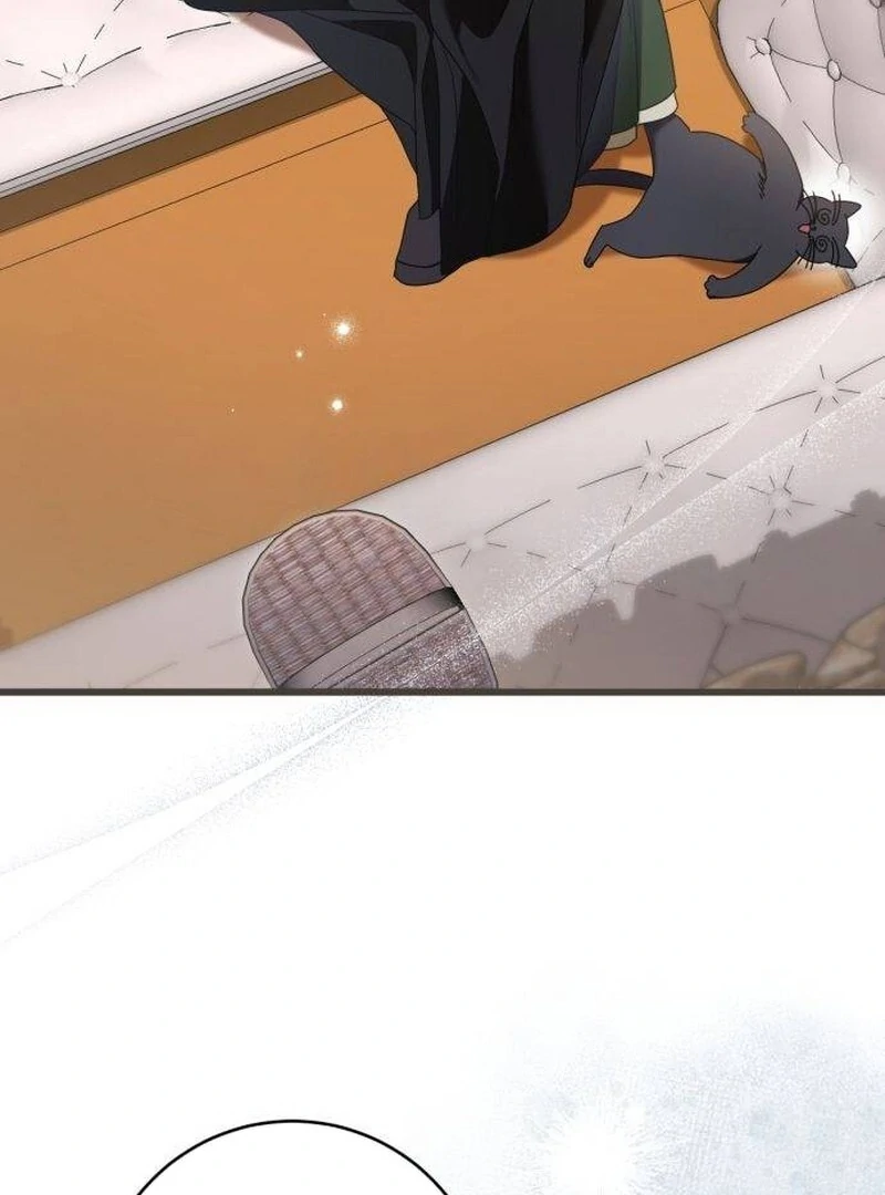 ch 33 3