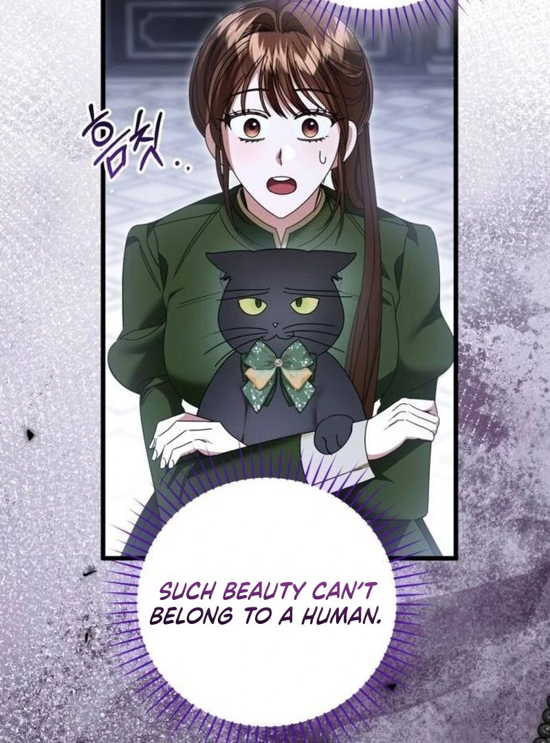 ch 33 37