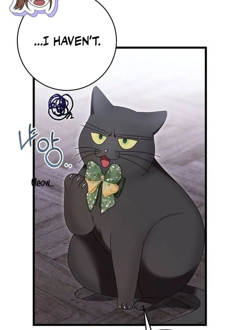 080