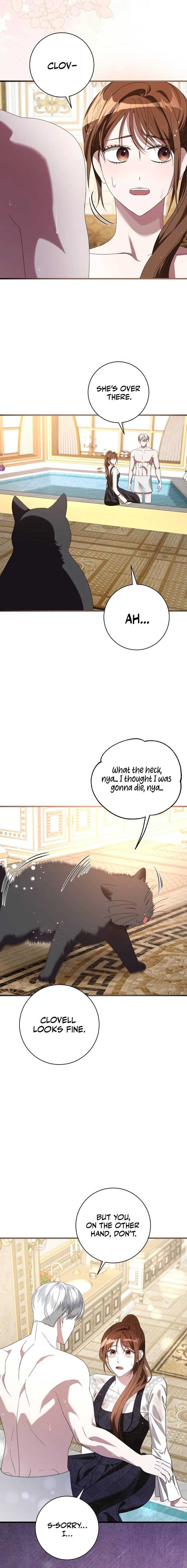 ch 4 11