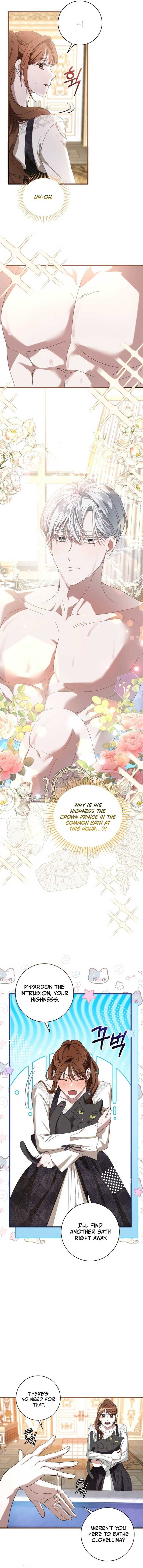 ch 4 6