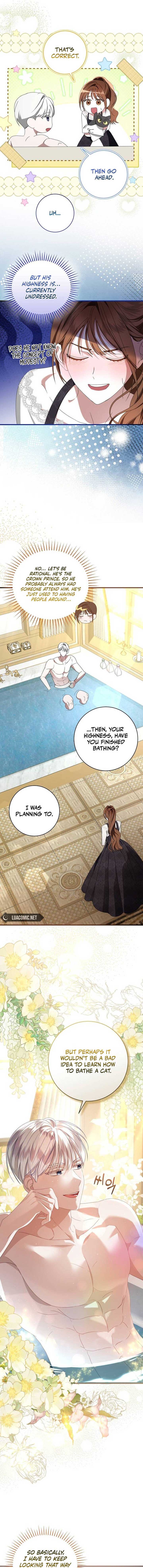 ch 4 7