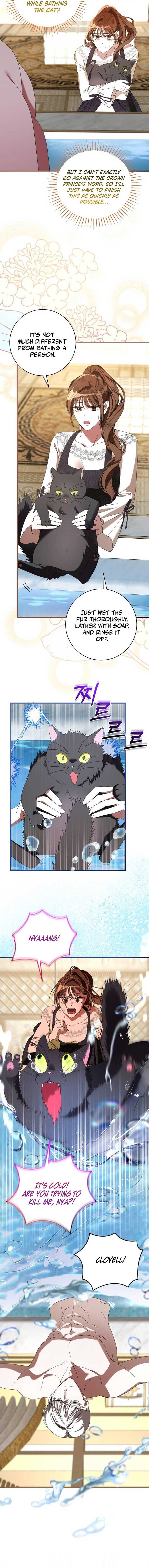 ch 4 8