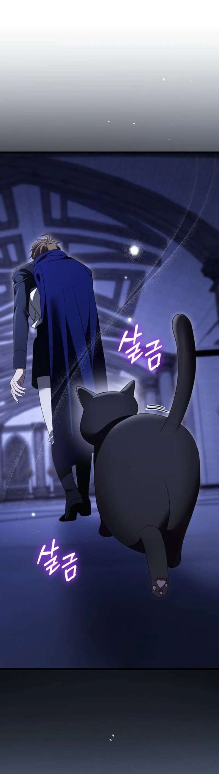 ch 51 25