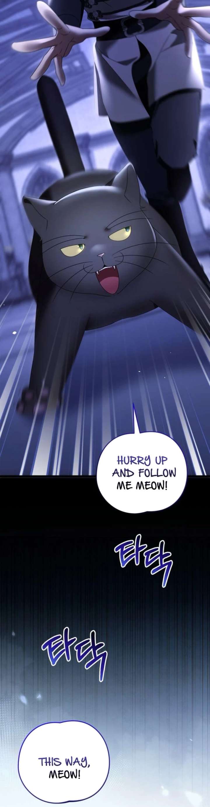 ch 51 27