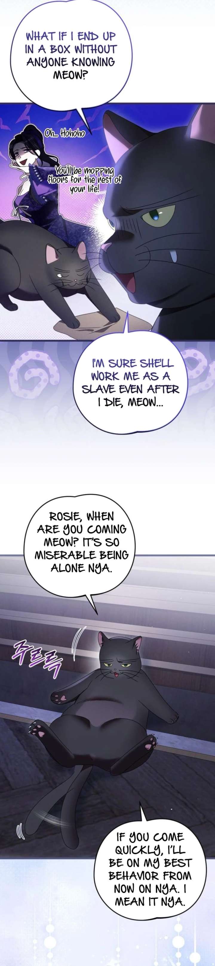 ch 51 6