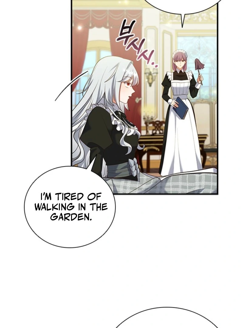 It’s Annoying Because My Childhood Friend Is An Archmage Chapter 41 379 066