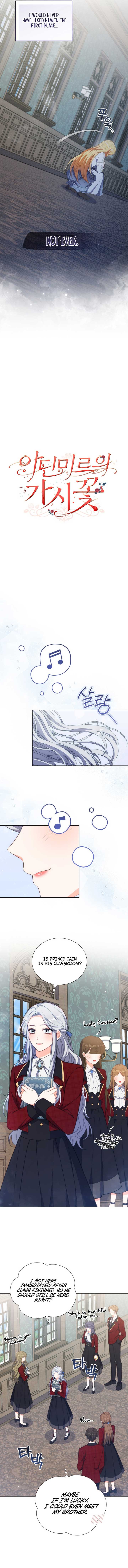 ch 11 6