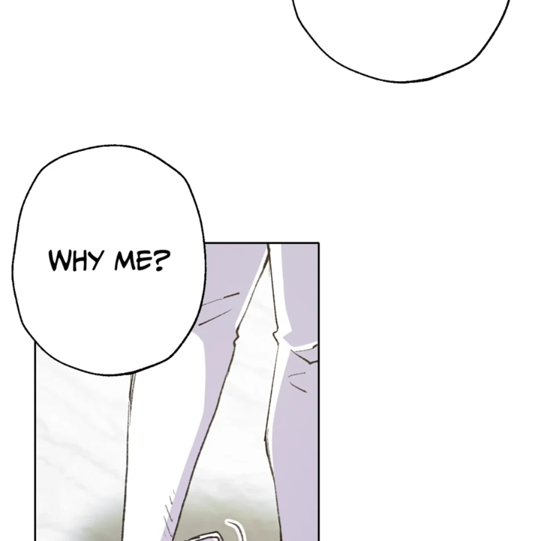 ch 13 6