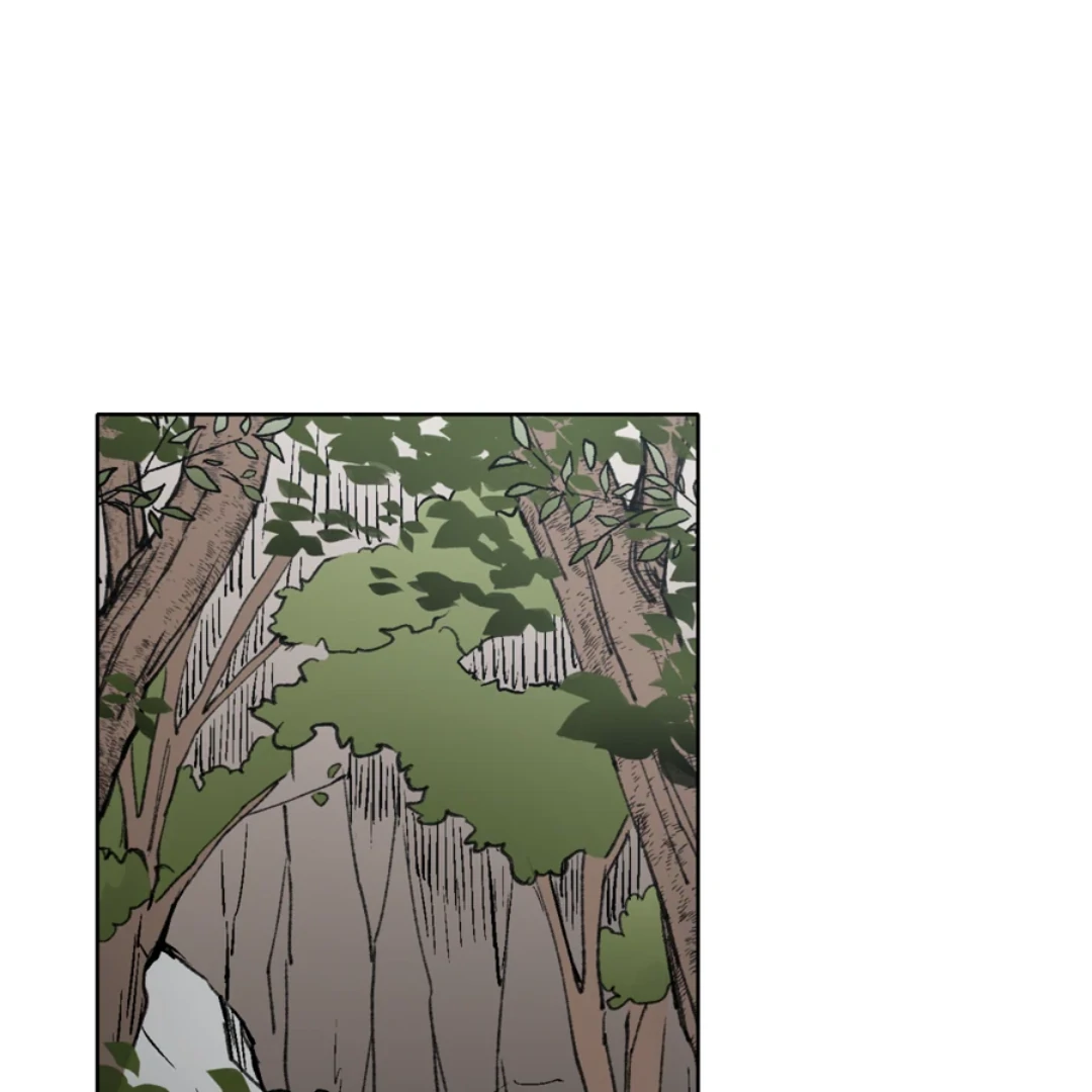 ch 19 1