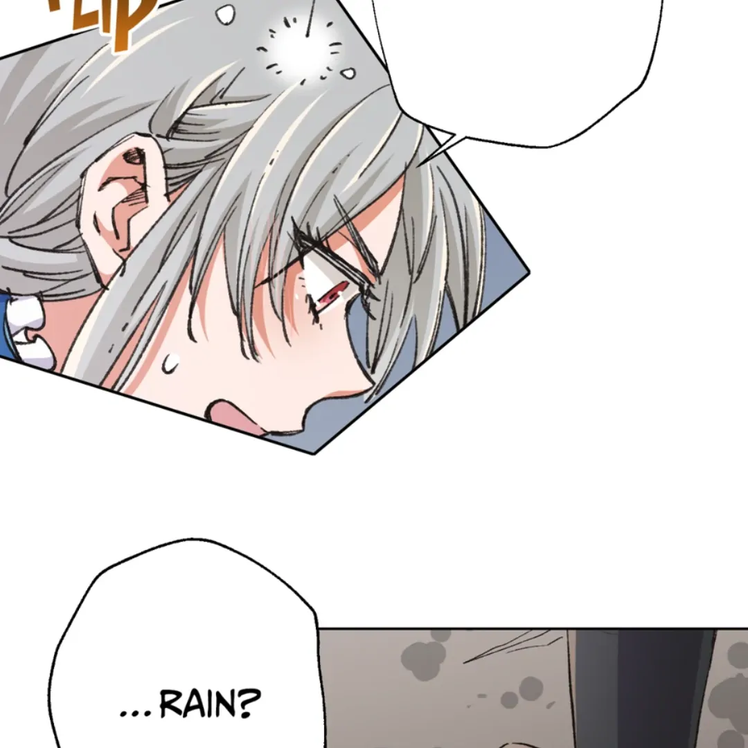 ch 19 11