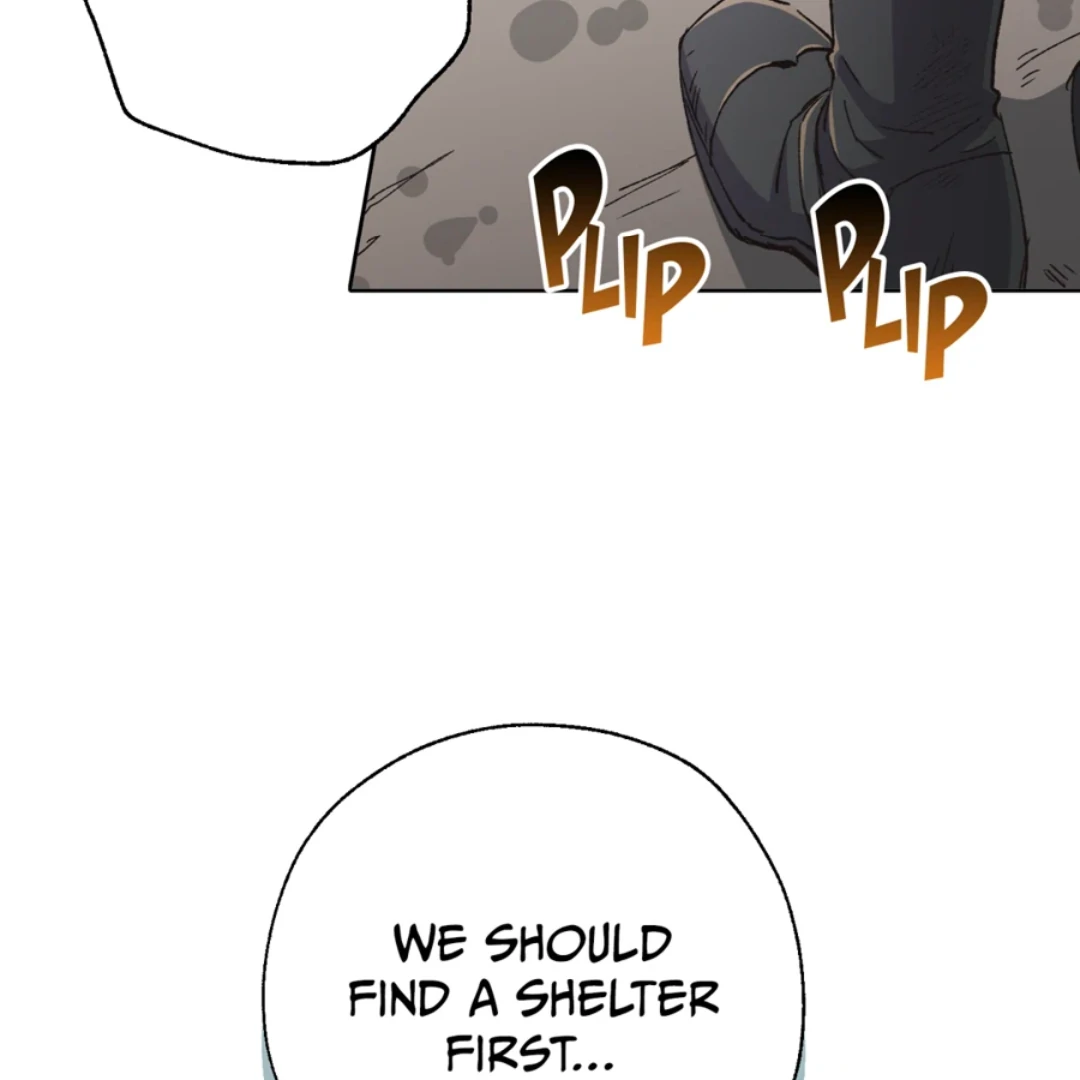 ch 19 12