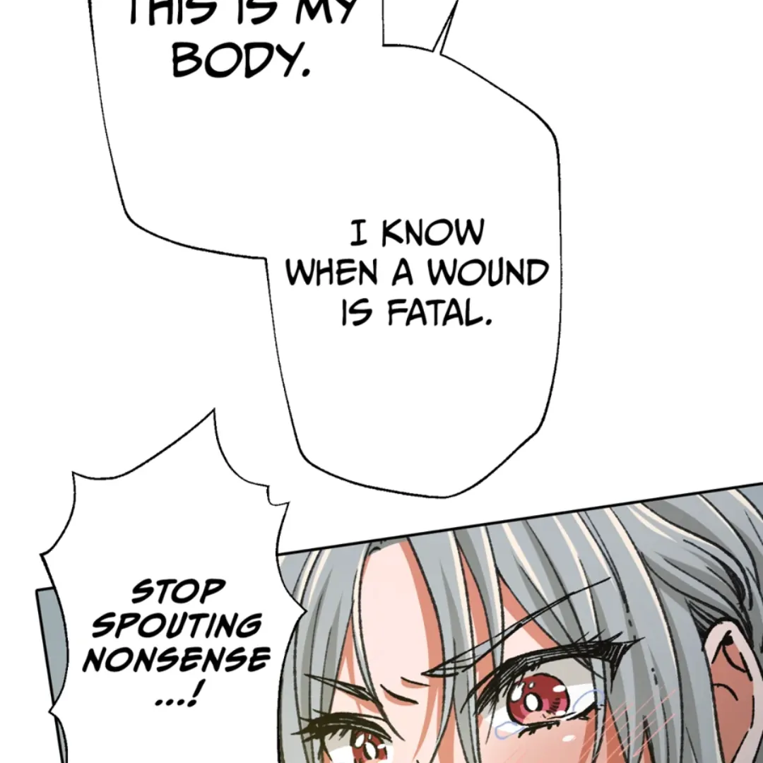 Holy Revenge: The Princess Who Became a Swordsman Chapter 20 387 ch 20 26