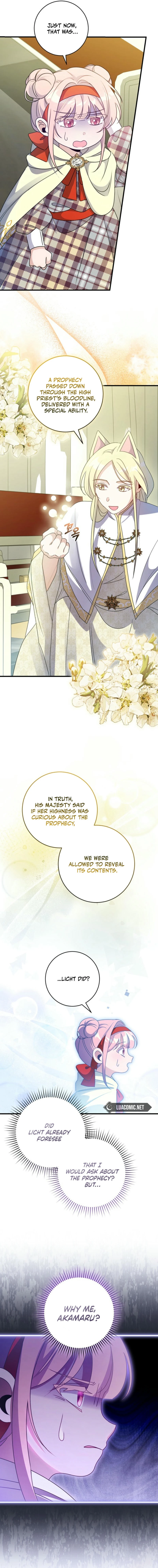 ch 11 2