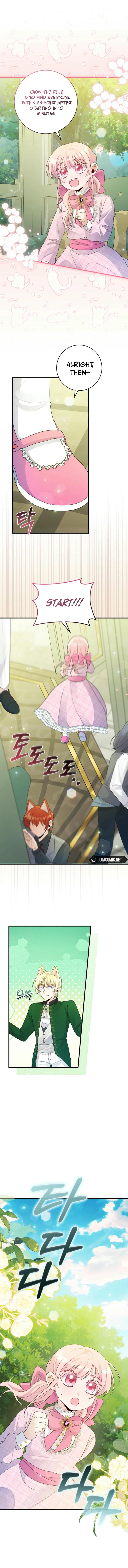 ch 19 11