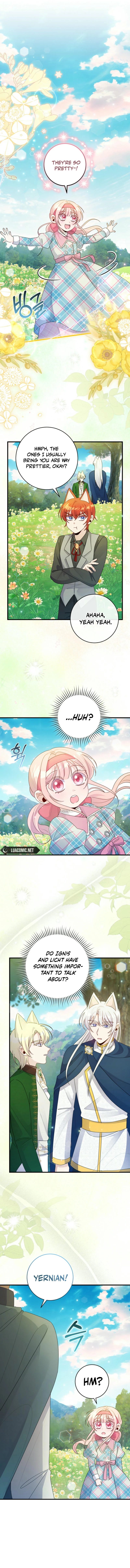 ch 19 5