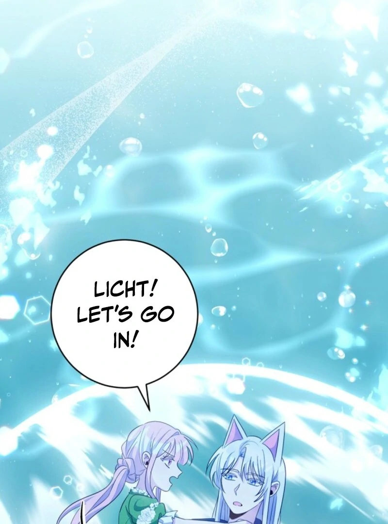ch 27 114