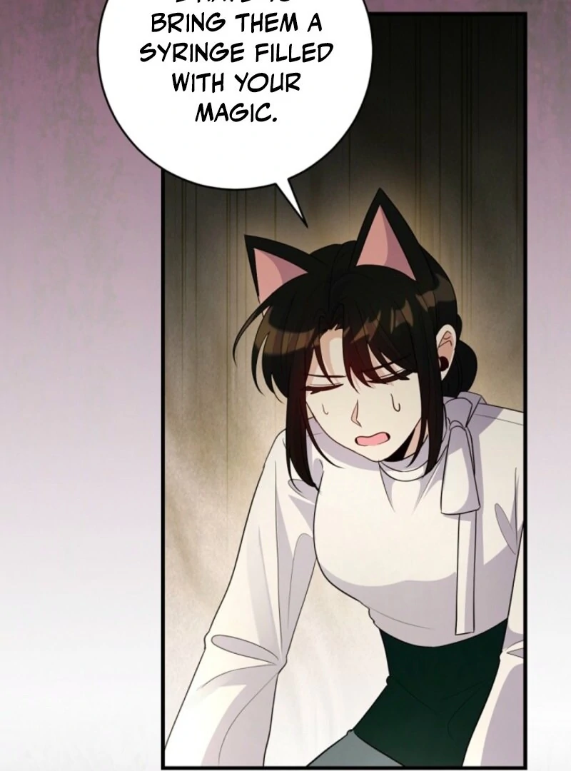 ch 27 22