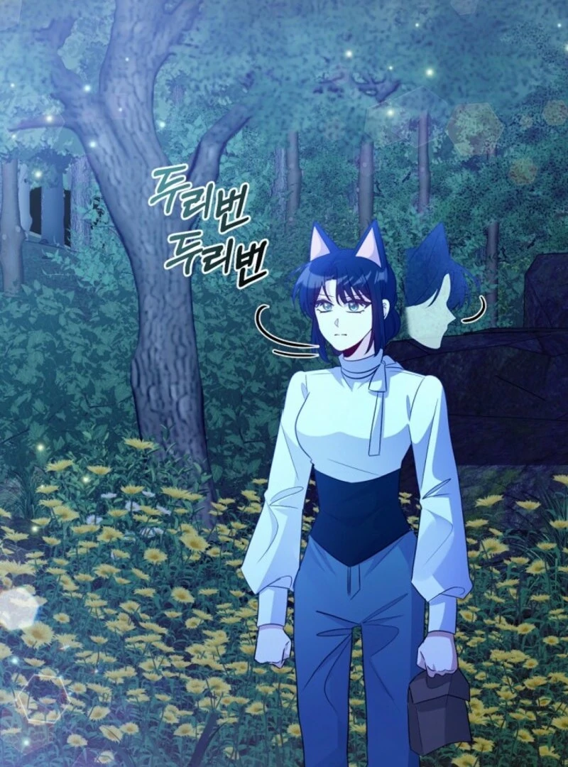 ch 27 62