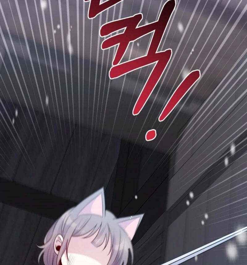 ch 28 27