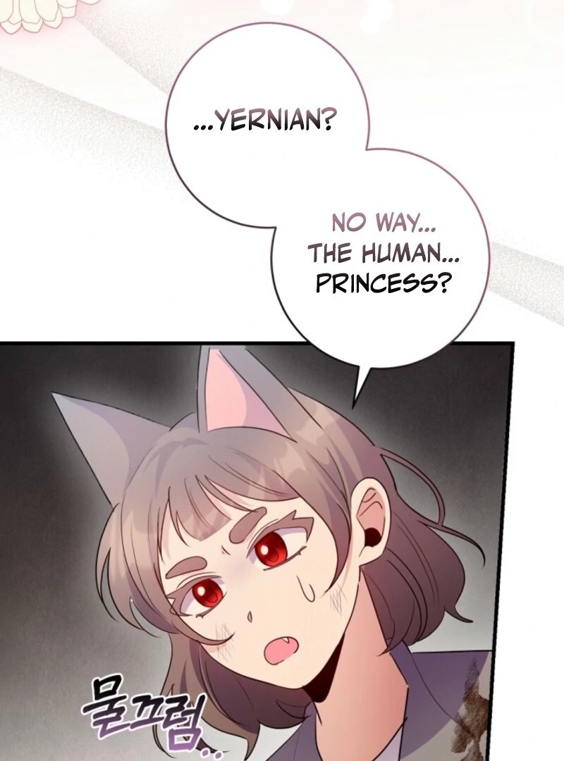 ch 28 46