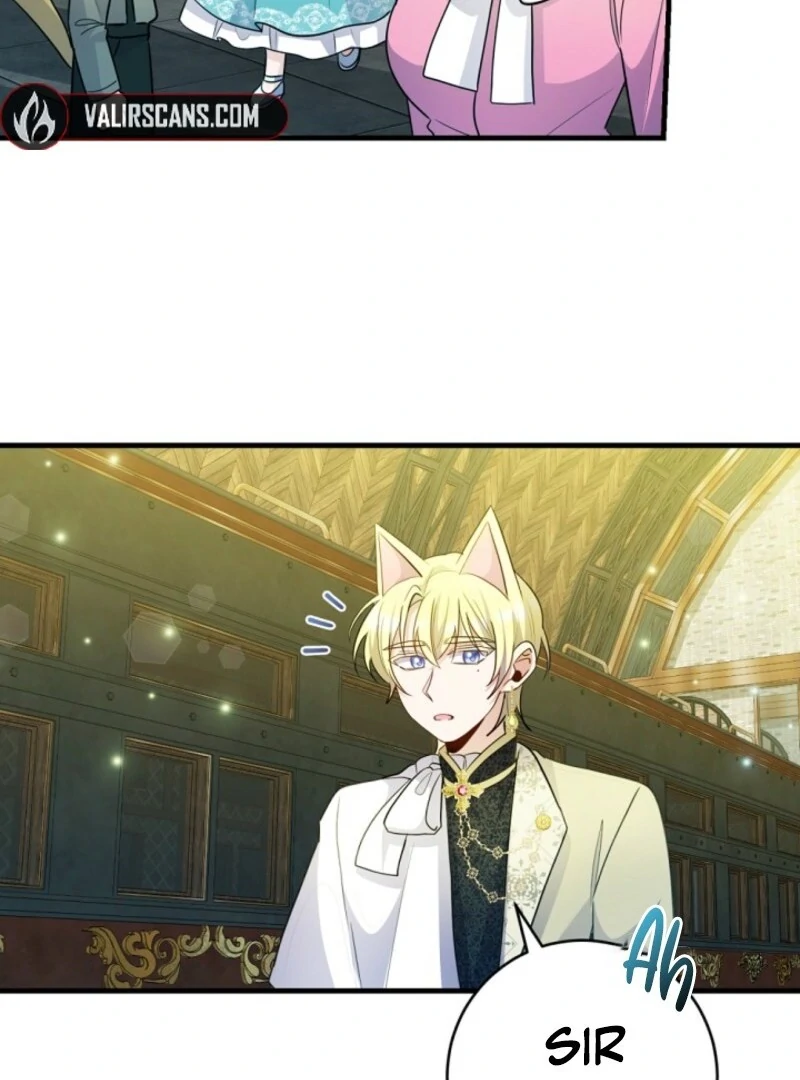 ch 31 35