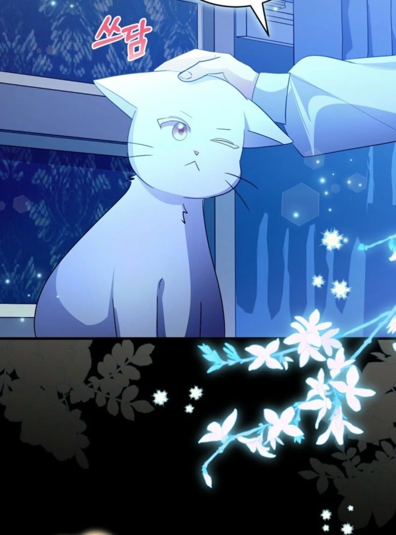 080