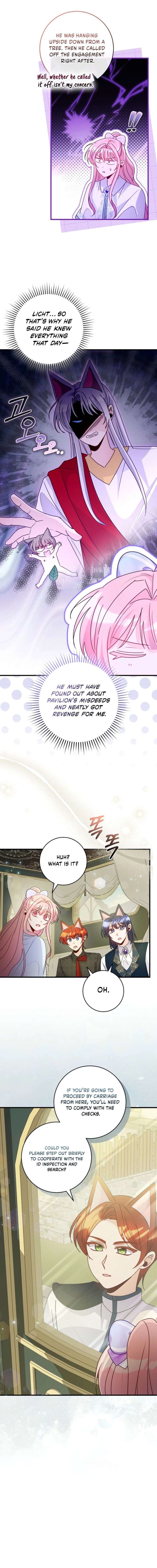 ch 51 8