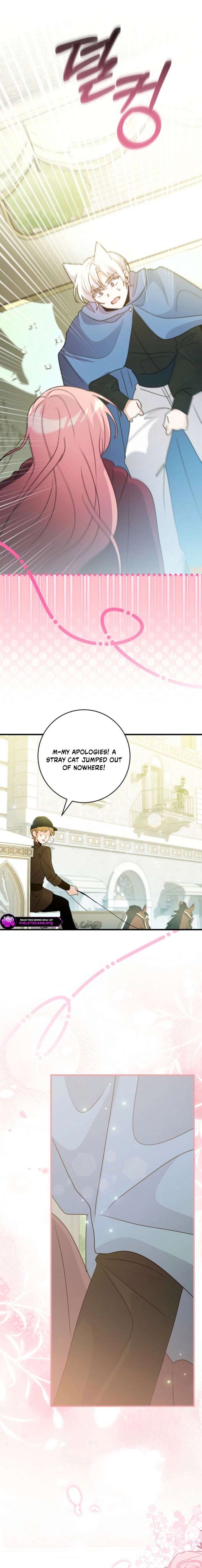 ch 55 18