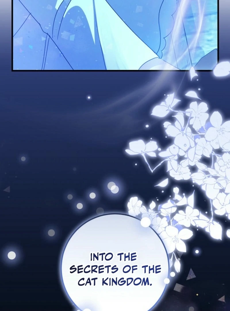 ch 8 18
