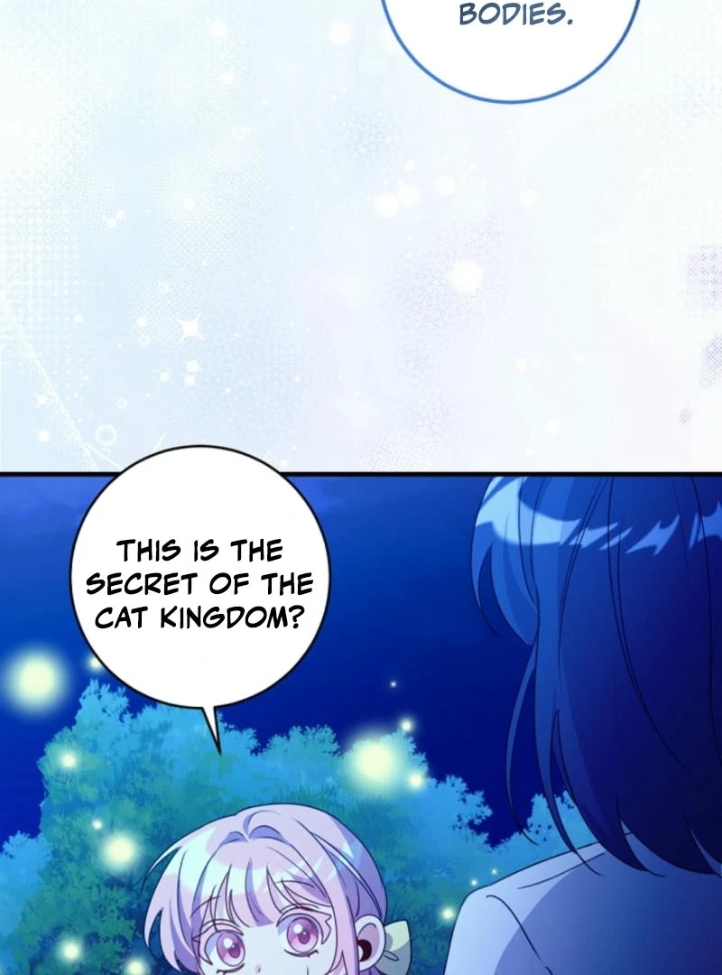 ch 8 47