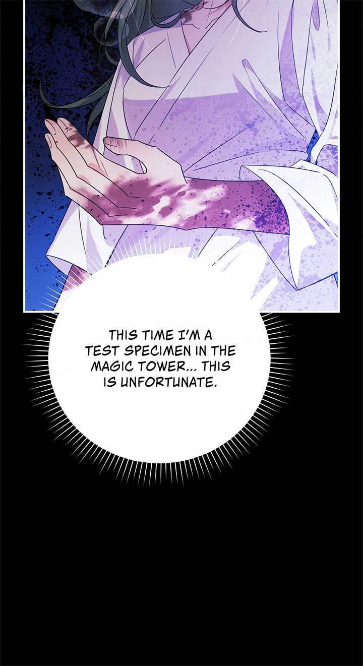 Let Me Enjoy the Extra Life Chapter 14 424 ch 14 72