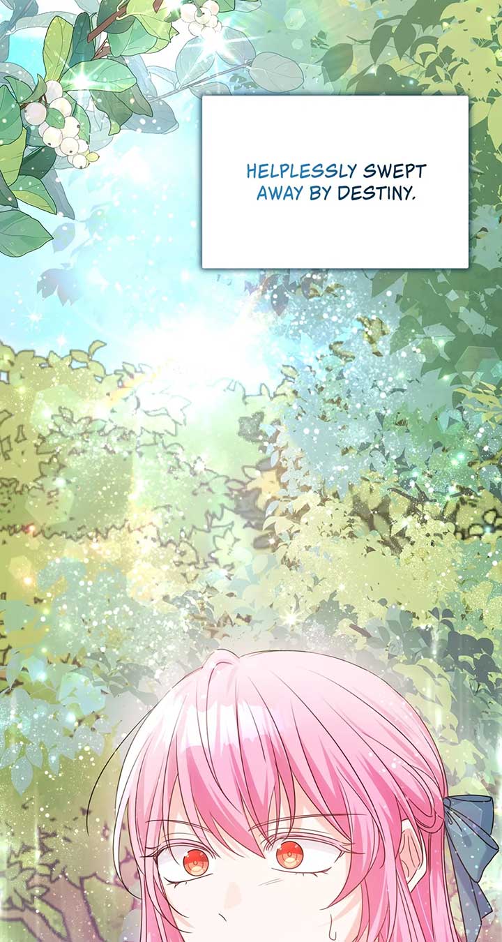 ch 15 19